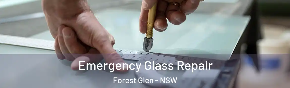  Emergency Glass Repair Forest Glen - NSW