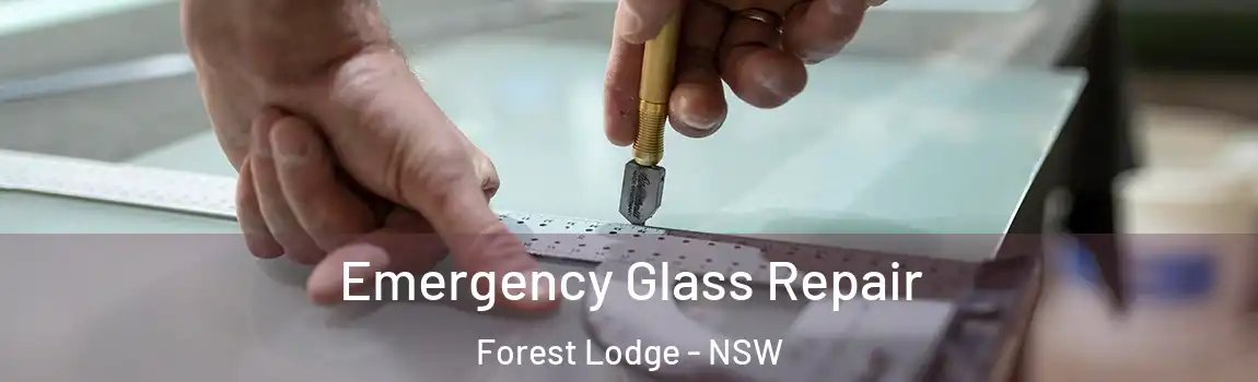  Emergency Glass Repair Forest Lodge - NSW