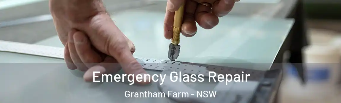  Emergency Glass Repair Grantham Farm - NSW