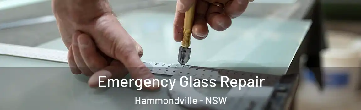  Emergency Glass Repair Hammondville - NSW