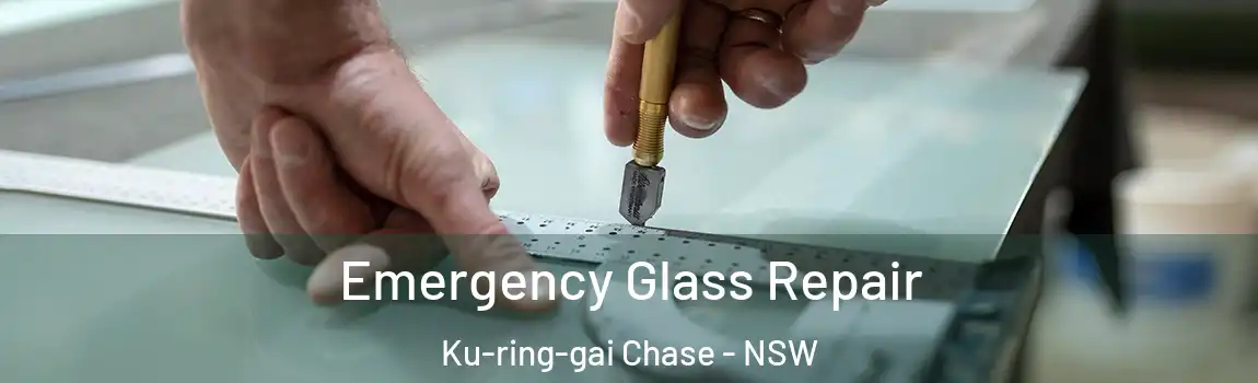  Emergency Glass Repair Ku-ring-gai Chase - NSW
