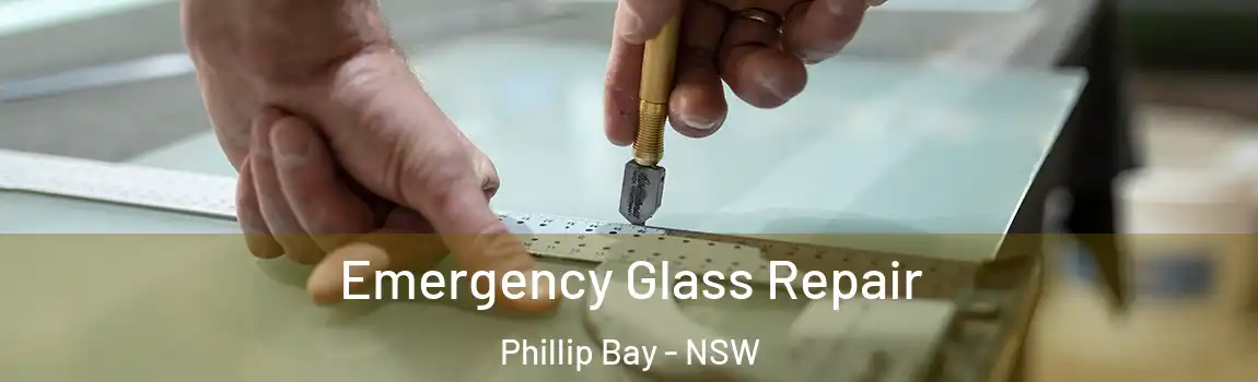  Emergency Glass Repair Phillip Bay - NSW