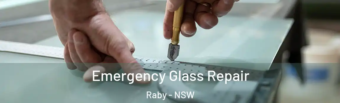  Emergency Glass Repair Raby - NSW
