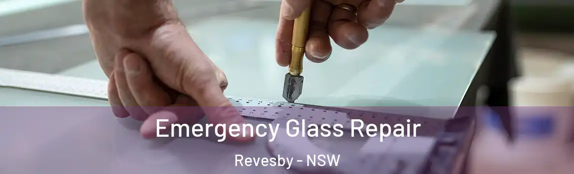  Emergency Glass Repair Revesby - NSW
