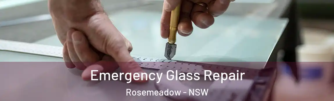  Emergency Glass Repair Rosemeadow - NSW