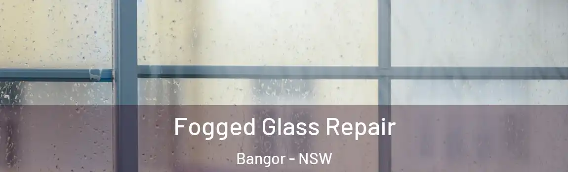  Fogged Glass Repair Bangor - NSW
