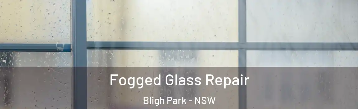  Fogged Glass Repair Bligh Park - NSW