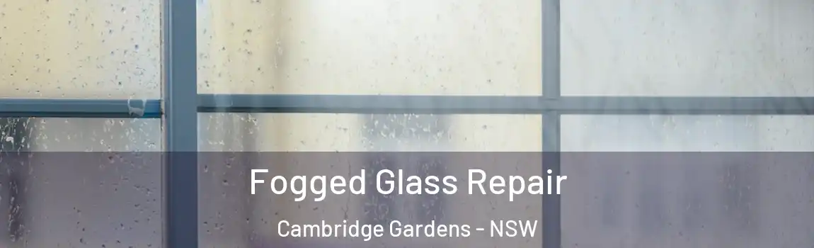  Fogged Glass Repair Cambridge Gardens - NSW