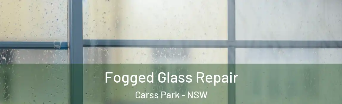  Fogged Glass Repair Carss Park - NSW