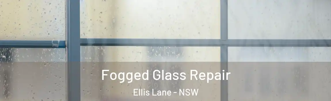  Fogged Glass Repair Ellis Lane - NSW