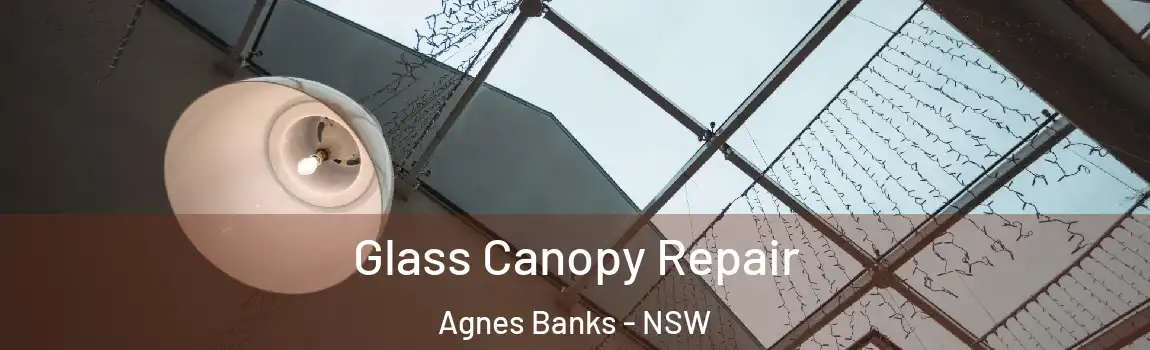  Glass Canopy Repair Agnes Banks - NSW