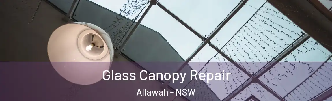  Glass Canopy Repair Allawah - NSW