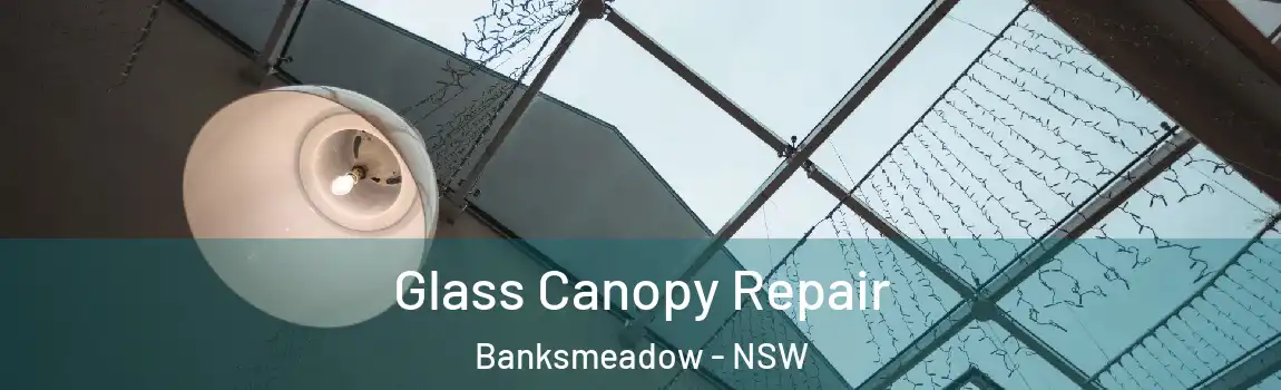  Glass Canopy Repair Banksmeadow - NSW