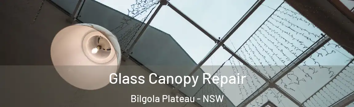  Glass Canopy Repair Bilgola Plateau - NSW