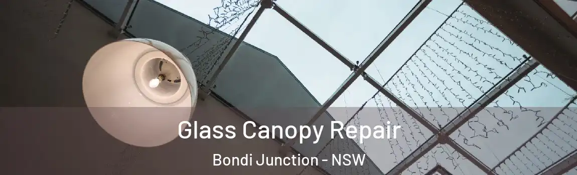  Glass Canopy Repair Bondi Junction - NSW