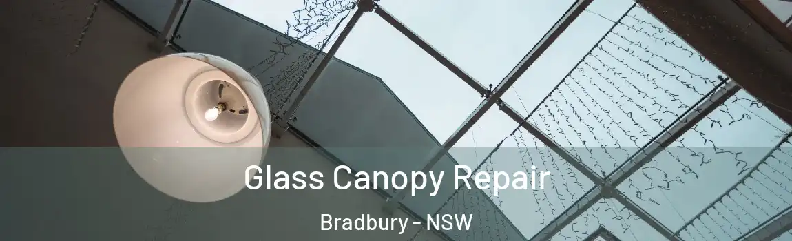  Glass Canopy Repair Bradbury - NSW