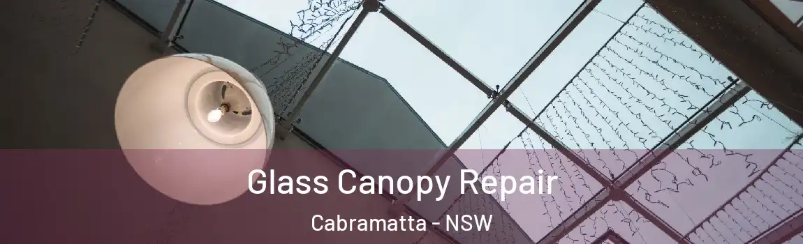  Glass Canopy Repair Cabramatta - NSW