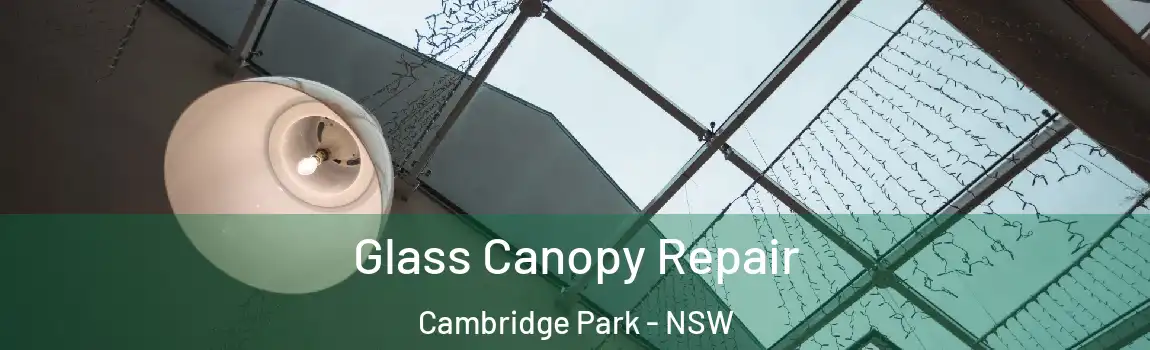  Glass Canopy Repair Cambridge Park - NSW