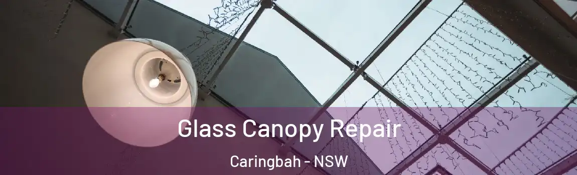  Glass Canopy Repair Caringbah - NSW