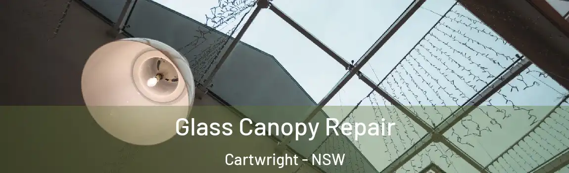 Glass Canopy Repair Cartwright - NSW
