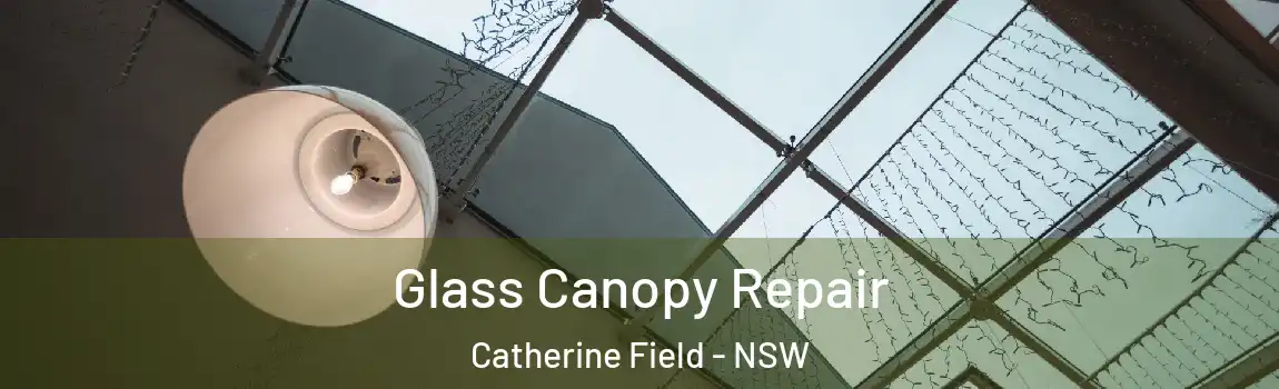  Glass Canopy Repair Catherine Field - NSW
