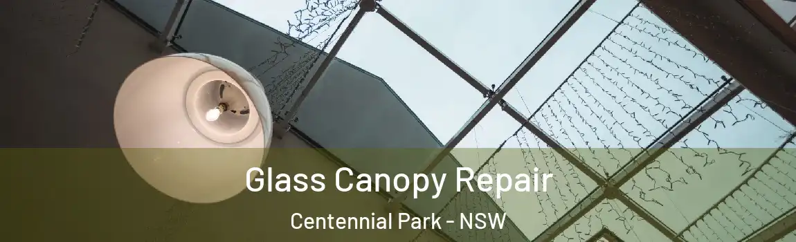  Glass Canopy Repair Centennial Park - NSW