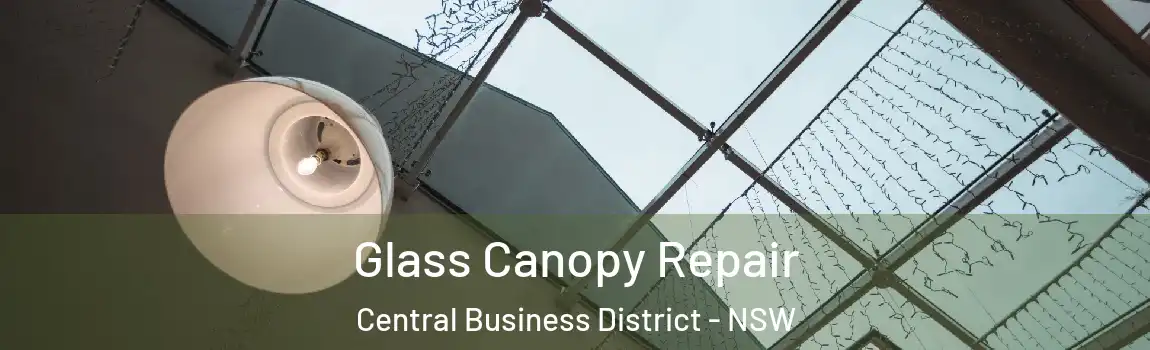  Glass Canopy Repair Central Business District - NSW