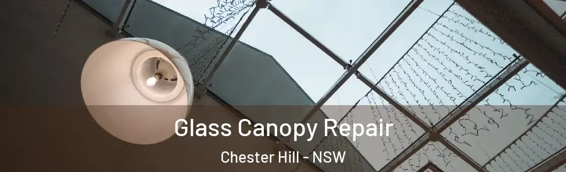  Glass Canopy Repair Chester Hill - NSW