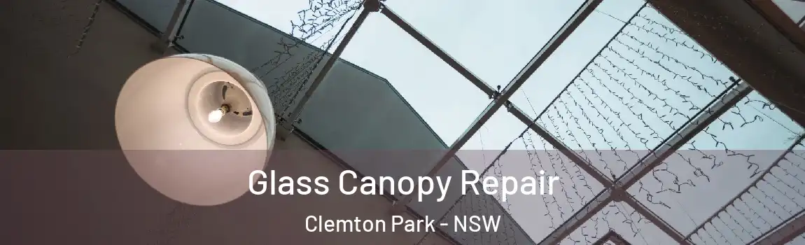  Glass Canopy Repair Clemton Park - NSW