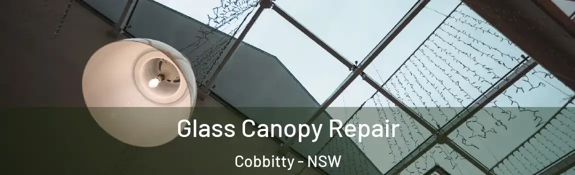  Glass Canopy Repair Cobbitty - NSW