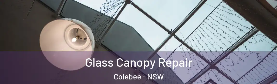  Glass Canopy Repair Colebee - NSW