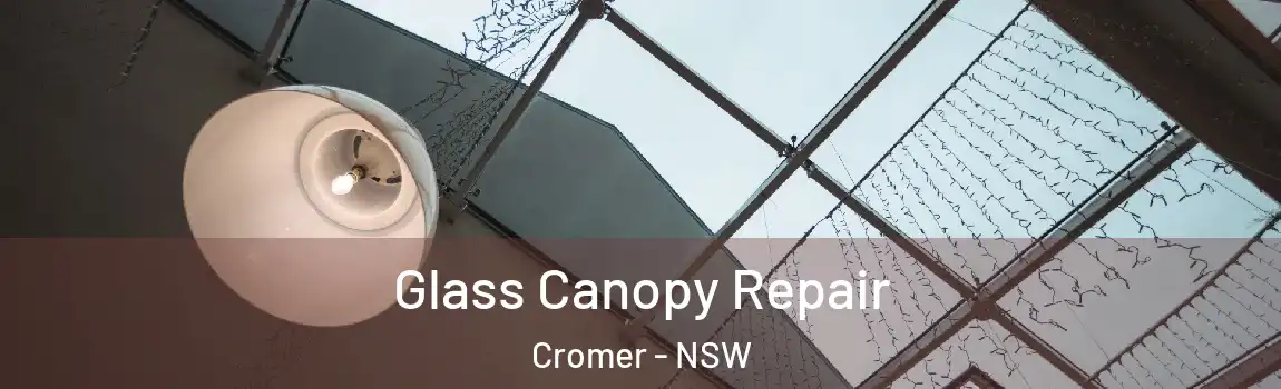  Glass Canopy Repair Cromer - NSW