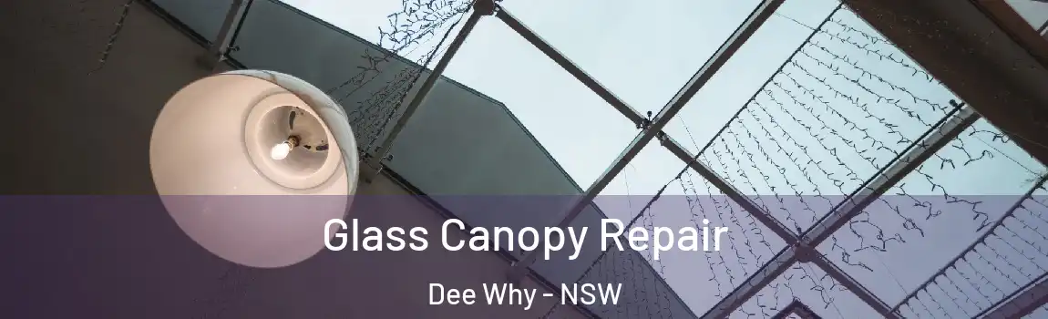  Glass Canopy Repair Dee Why - NSW