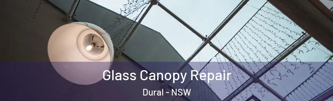  Glass Canopy Repair Dural - NSW