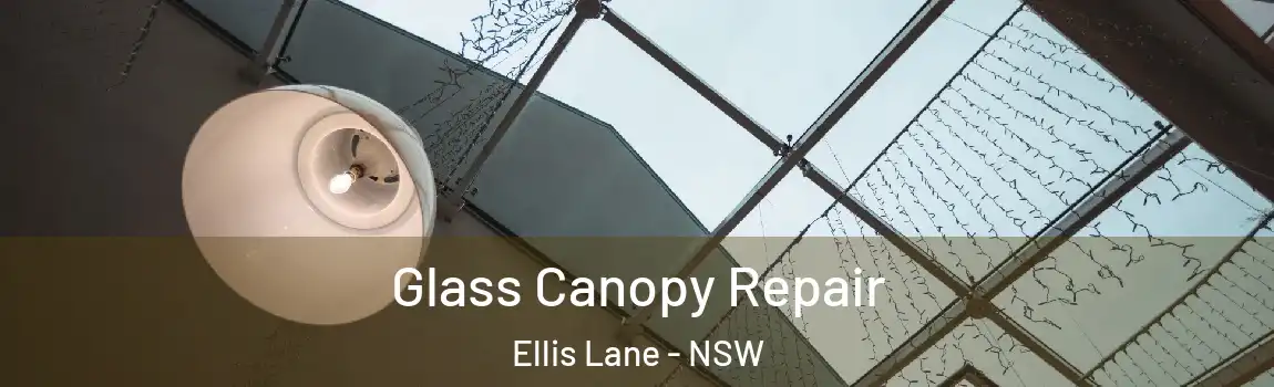  Glass Canopy Repair Ellis Lane - NSW