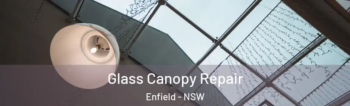  Glass Canopy Repair Enfield - NSW