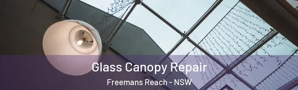  Glass Canopy Repair Freemans Reach - NSW