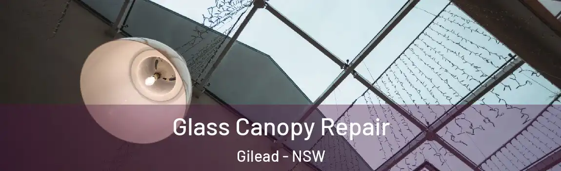  Glass Canopy Repair Gilead - NSW