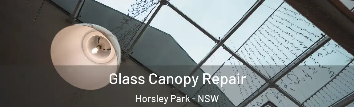  Glass Canopy Repair Horsley Park - NSW