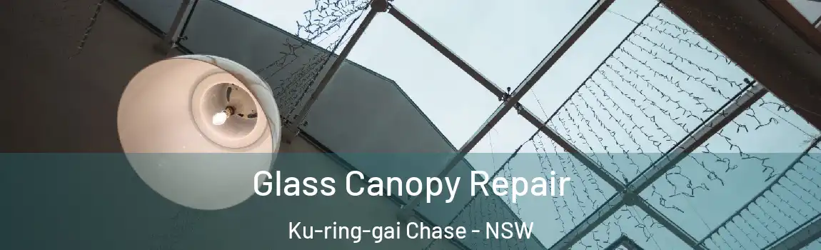  Glass Canopy Repair Ku-ring-gai Chase - NSW