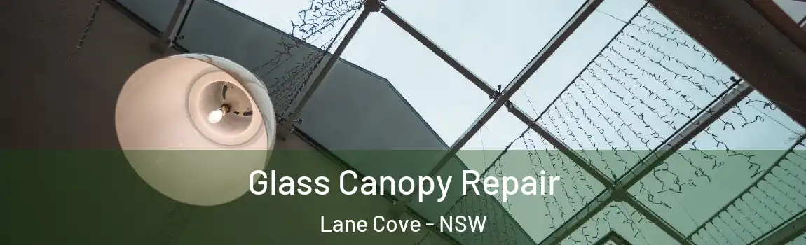 Glass Canopy Repair Lane Cove - NSW