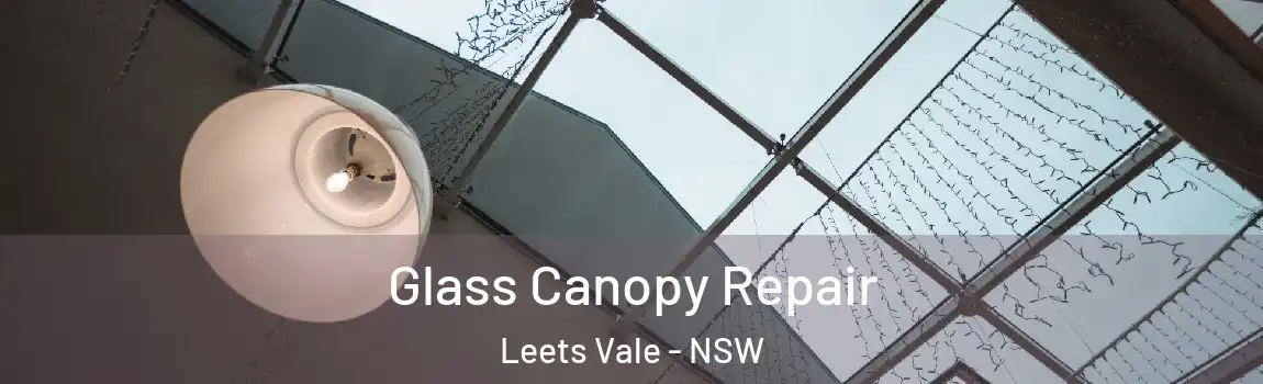  Glass Canopy Repair Leets Vale - NSW