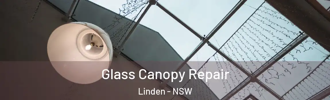  Glass Canopy Repair Linden - NSW