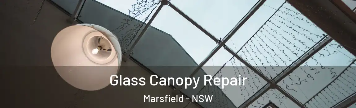  Glass Canopy Repair Marsfield - NSW