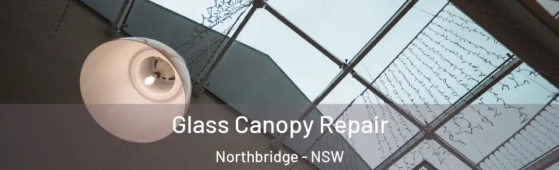  Glass Canopy Repair Northbridge - NSW