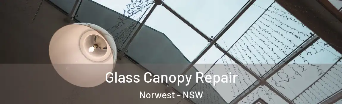  Glass Canopy Repair Norwest - NSW