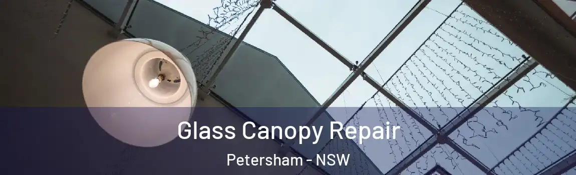  Glass Canopy Repair Petersham - NSW