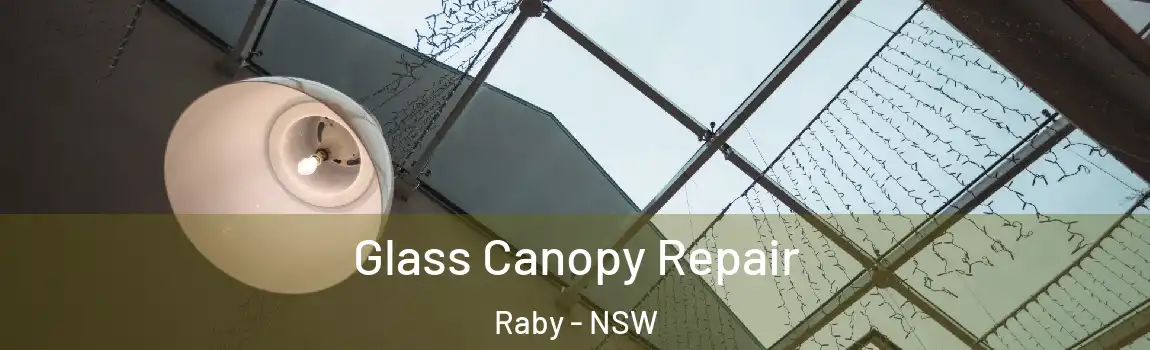  Glass Canopy Repair Raby - NSW