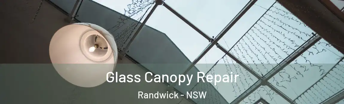  Glass Canopy Repair Randwick - NSW