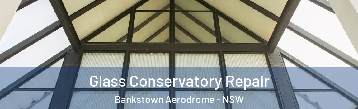  Glass Conservatory Repair Bankstown Aerodrome - NSW